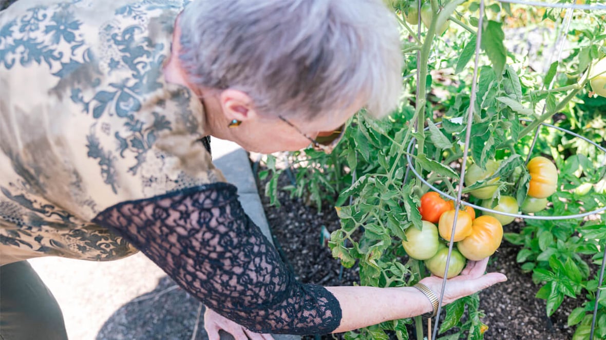 Resident gardening at the Veranda Park community