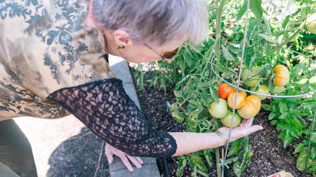 Older woman gardening 