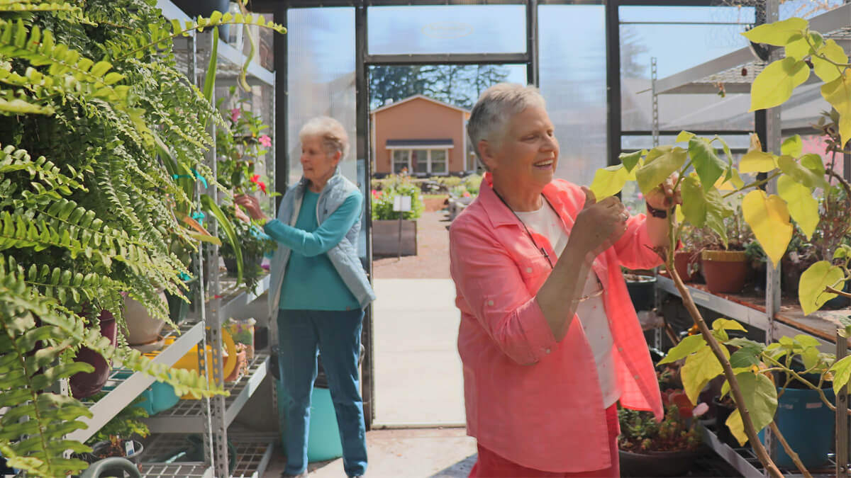 Two women gardening in a green house