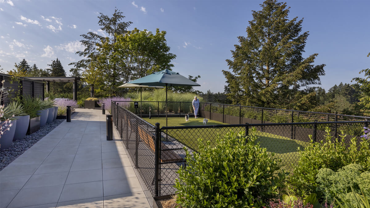 Rooftop dog park