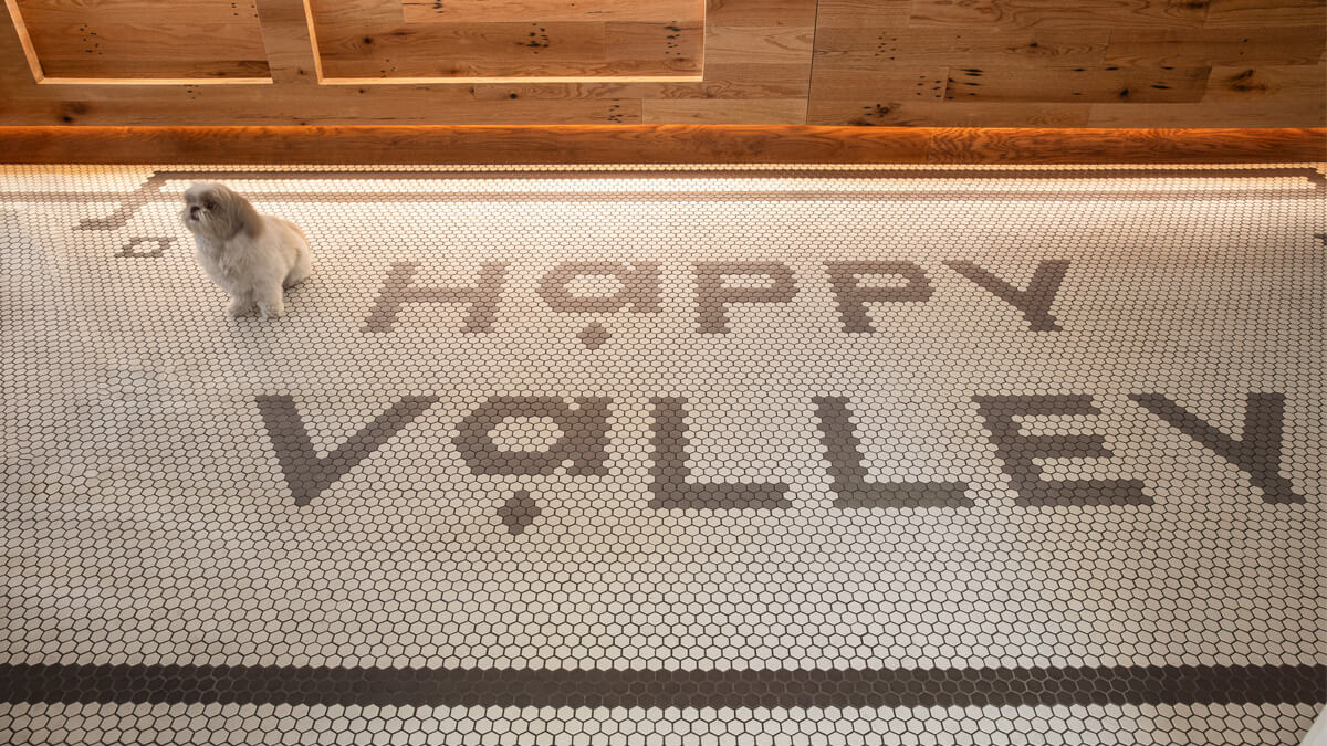 Dog with floor tile sign inside the Happy Valley community